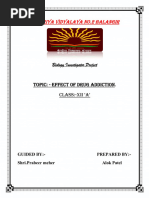 PDF Document
