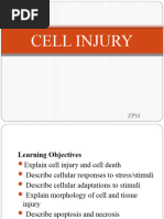 Cell Injury