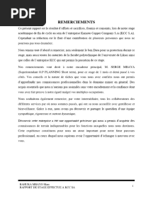 Rapport de Stage À KCC SA
