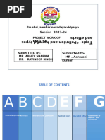 PDF Document