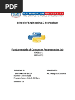 PDF Document