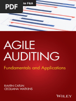 Agile Auditing_ Fundamentals and Applicati - Raven Catlin