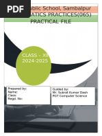 PDF Document