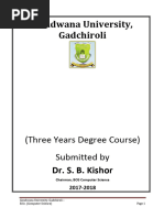 PDF Document