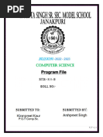 PDF Document