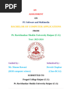 PDF Document