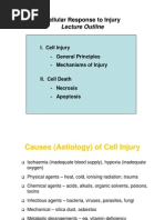 Cell Injury and Cell Death