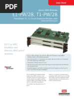 E1-PW 28 T1-PW 28 Ds