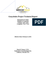 Guayabales NI 43-101 Technical Report Dated February 8, 2011