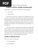 WORKING CAPITAL - Meaning of Working Capital