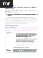 Functions of The Cell Membrane