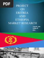 Project ON Eritrea AND Ethiopia Market Research: Yogesh Jain Pgdm-Ib Jims