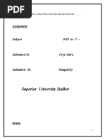 PDF Document