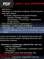 Cell Injury