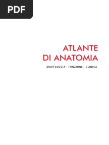 Atlante Di Anatomia Anteprima