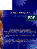 Strategic Management: Life-Cycle Strategies