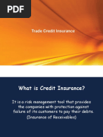 Credit Insurance PPT Basic