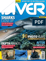 Diver - February 2017 PDF