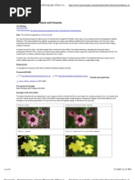 PDF Document