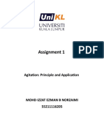 Assignment Fermentation (Agitator)