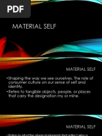 Material Self