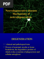 Neurodegener Raluca