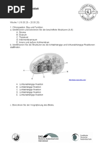 AB Fotosynthese