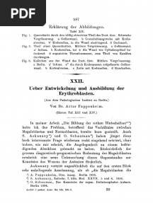 Virchows Archiv Volume 145 Issue 3 1896 (Doi 10.1007 - bf01969901) Artur Pappenheim - Ueber Entwickelung Und Ausbildung Der Erythroblasten