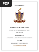 PDF Document