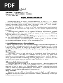 Ev - Initiala Raport Grupa Mica