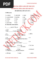 PDF Document