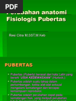 PDF Dokumen