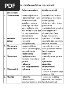 Asemănări Și Deosebiri: Procariote Versus Eucariote