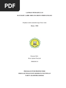 5 Laporan Pendahuluan Bayi Baru Lahir