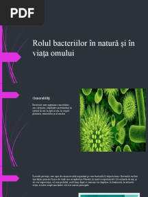 Rolul Bacteriilor in Natura