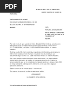 PDF Documento
