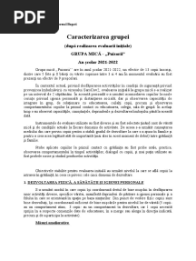 Caracterizarea Grupei