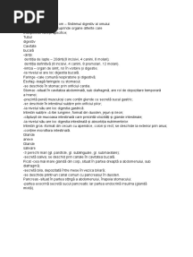 Sistemul Digestiv Clasa 6