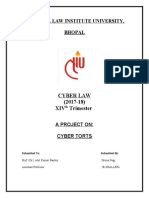 Cyber Law Project Drona