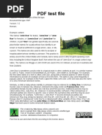 PDF Document