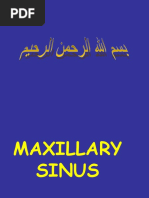 9-Maxillary Sinus