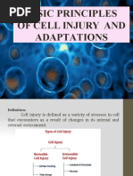 1.1cell Injury