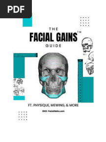Facial Gains Guide (001 081)