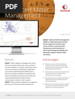 Advanced Meter Management: Details