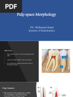 Intro To Pulp Space Morphology 2022