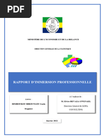 Rapport Immersion