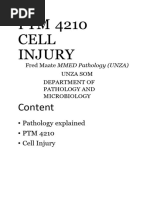 Cell Injury Hand Out - 1