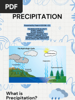 Hydrology Precipitation Report Team A