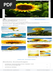 Sonnenblume Profil Schön - Google-Suche