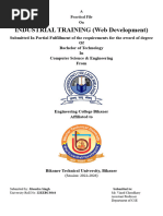 PDF Document